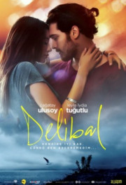 Постер Delibal